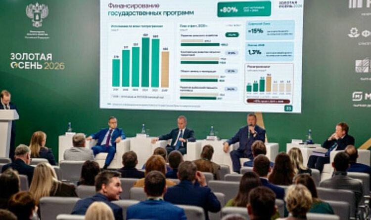 Российские экспортеры агропродукции адаптируются к изменениям в логистике - фото