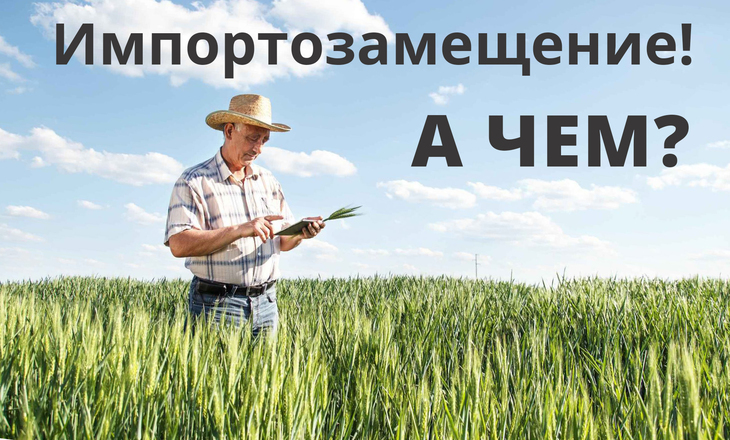 Импортозамещение! А чем?