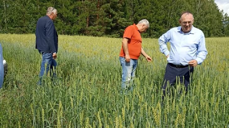 В Томской области продолжаются аграрные взаимопроверки