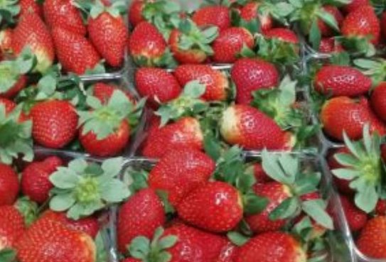 В Приамурье выявили крупную партию китайской клубники с карантинным трипсом - фото