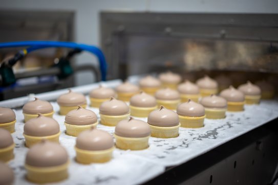 В Башкортостане за пятилетку реализовано 12 инвестиционных проектов по переработке сельскохозяйственной продукции