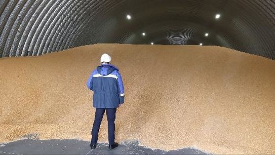 Какие культуры особенно интересуют волгоградских аграриев к сезону 2026 - фото