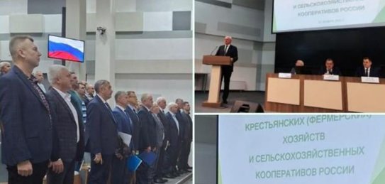 Доходность российских фермеров падает: главные причины