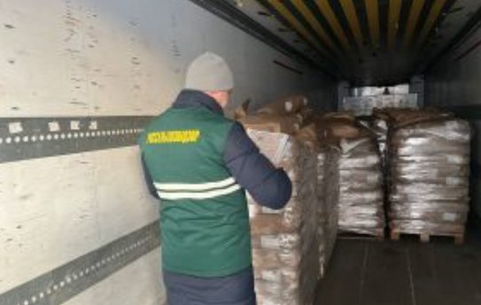 Ульяновская область в 2025 году увеличила экспорт молочной продукции