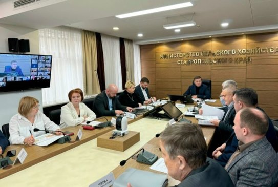 Озимые Ставрополья под урожай 2026 защищают от болезней и грызунов - фото