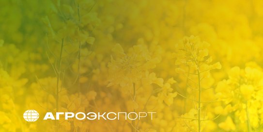 Северная Корея присоединилась к покупателям российского рапсового масла в 2025 году