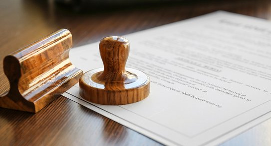 Обновился ГОСТ на нут и появился первый в России ГОСТ на кукурузу