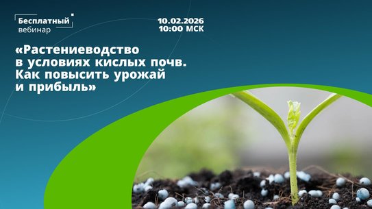 Закисление почв – большая проблема в растениеводстве