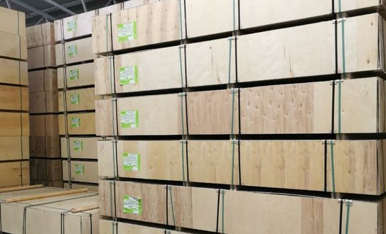 Сразу на 50% подскочил экспорт лесоматериалов из Вологодской области в Индию