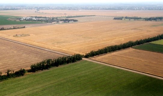 Продовольственная безопасность России: итоги 2025