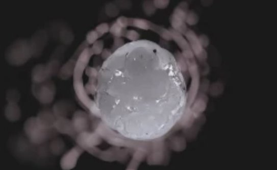 Новая модель дистанционного зондирования показала, как заморозки убивают урожай бразильской кукурузы