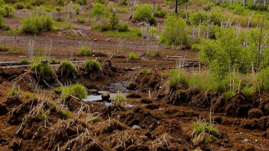 Право рассчитывать ущерб сельхозземлям по-новому получает МСХ РФ
