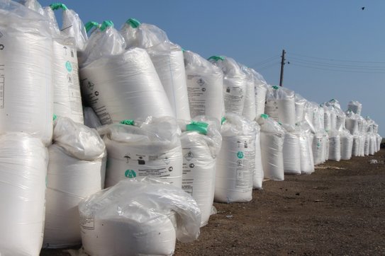 Самые востребованные удобрения к весенней полевой кампании 2026 в Алтайском крае - фото