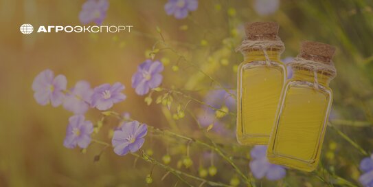 Россия кратно увеличит экспорт льняного масла