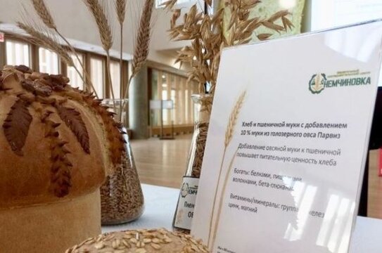 Яровая пшеница была в фокусе конференции «Селекция как бизнес»