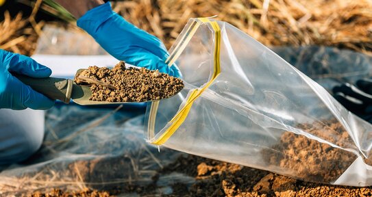 Практический гид: какие ошибки при отборе почвенных проб чаще всего встречаются и как их предотвратить?