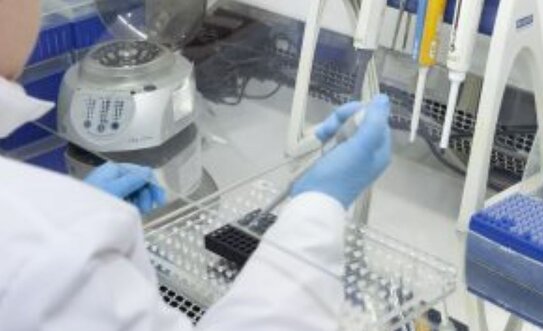 Борьба с фальсифицированием рыбной продукции в России выходит на новый этап - фото