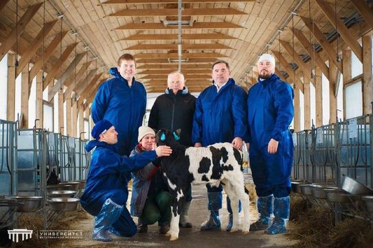 Теленок из пробирки родился в Ленинградской области: отцом стал известный голштинский бык Баркип