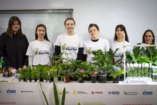 В Башкортостане одно из самых активных сообществ СНТ в России