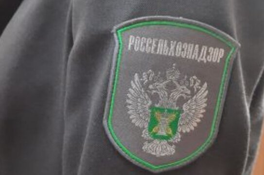 С начала 2026 года экспорт зерновой продукции из Самарской области резко пошел вверх