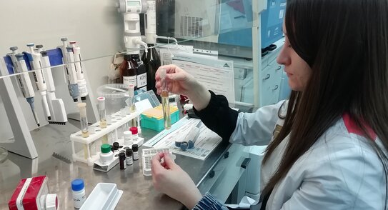 Иран приобрел крупную партию горчичного порошка в Волгоградской области