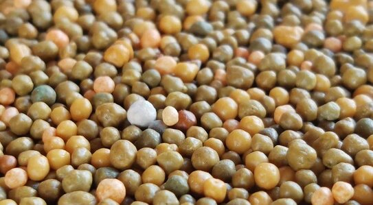 ЕвроХим внедрил цифровую визитку в качестве дополнительного канала коммуникации