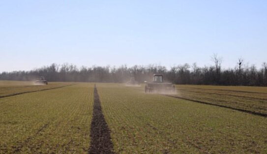 Озимые Запорожья получают качественную азотную подкормку в полном объеме