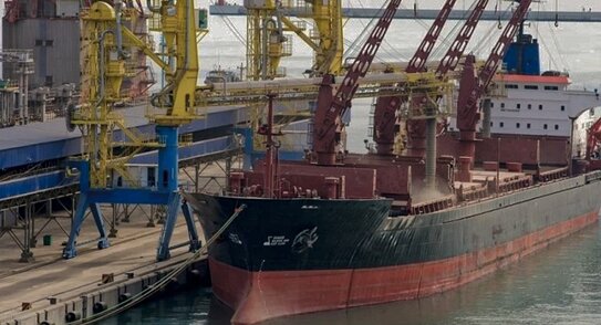 Главные страны-покупатели российской пшеницы за январь—февраль 2026 года