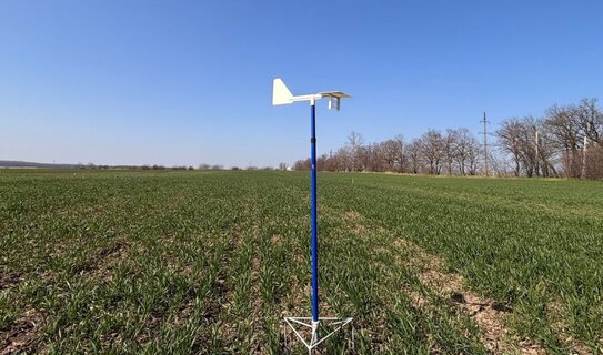 Как охотятся на возбудителей болезней пшеницы ученые Центра биологической защиты растений