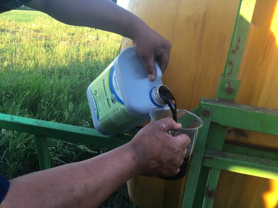 Текамин Макс Плюс в системе листовых подкормок: значение аминокислотного биостимулятора в стрессовых условиях - фото