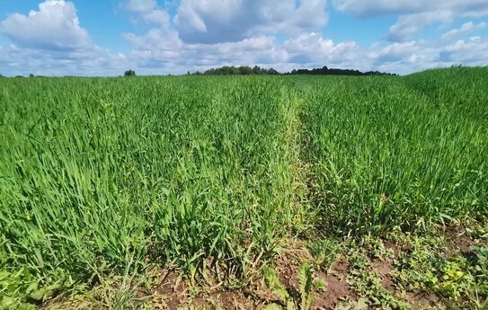 Сеть метеостанций расширится на все аграрные территории в России