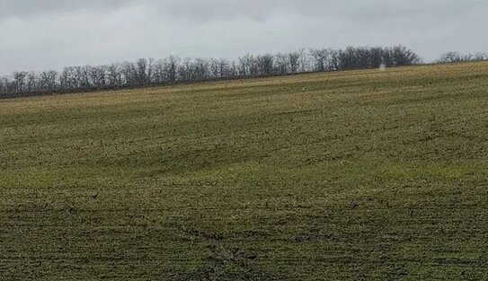 Виды на урожай 2026. На что рассчитывают аграрии ЛНР