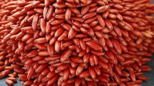 Тенденции рынка семян 2026: квоты, ФГИС и цена суверенитета в оценке эксперта