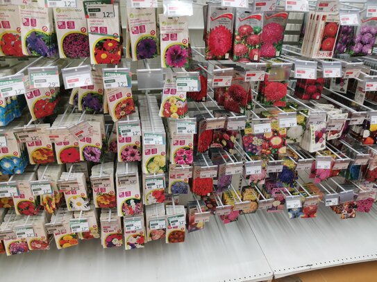 Советы по подготовке семян к посеву