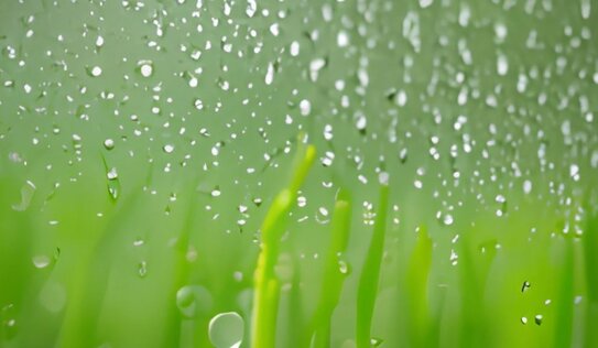 Тонна зерна — это 1000 тонн воды: эксперт ЦОК АПК о том, зачем Кубани закон об искусственных осадках