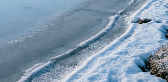 Подводные дроны расскажут о здоровье озерной рыбы подо льдом