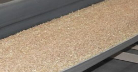 Семенной экспорт развивает Алтайский край