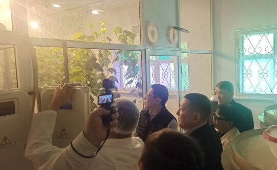 Арктические «ускоренные» огурцы уже плодоносят в теплицах АГАТУ