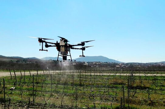 Цифровая жатва: Кубань вошла в список лидеров самых инновационных сельхозрегионов страны