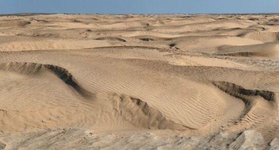 Опустынивание в России взяли под контроль РосАгрохимслужба и ИКИ РАН