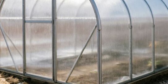 Ранний редис в теплице – сеем в апреле - фото