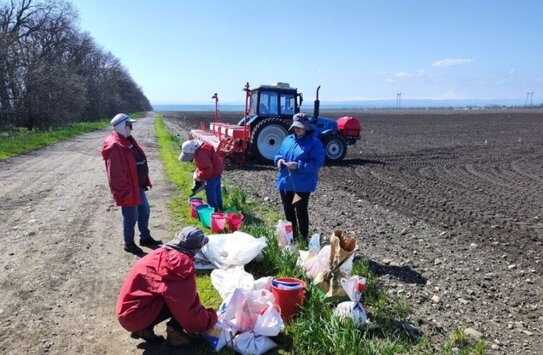 На опытных полях ВНИИ кукурузы сеют будущие научные достижения