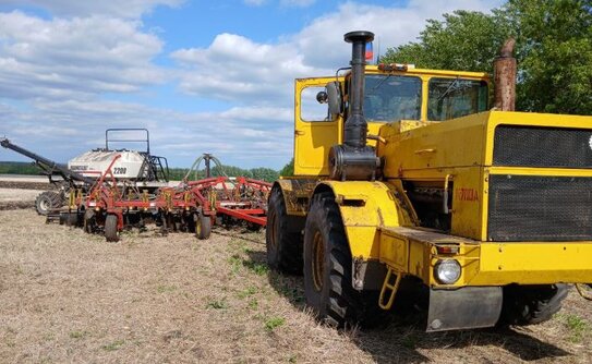 Кузбасские аграрии увеличат площади под масличными культурами в 2026 году