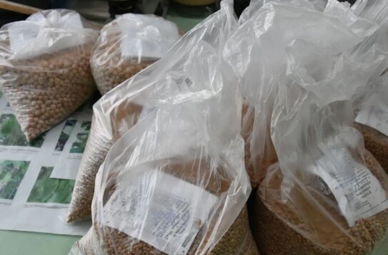 Лицензионное соглашение при покупке семян и фермерская льгота: что важно знать