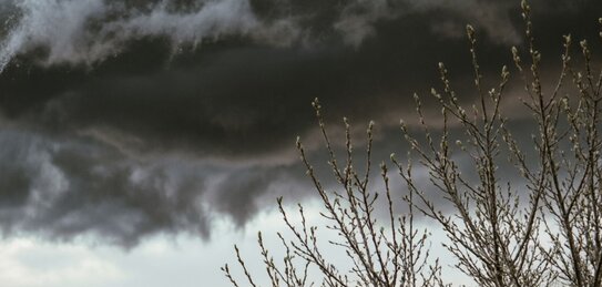 Почему снег во время апрельских заморозков — спасение, а не катастрофа: чем обработать плодовые - фото