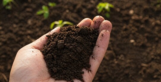 Узнай тип почвы за 10 минут: технология «рука почвоведа»! - фото
