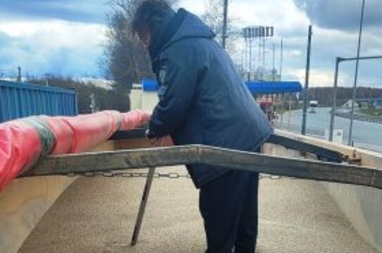 В Чувашию впервые завезли импортную продовольственную рожь