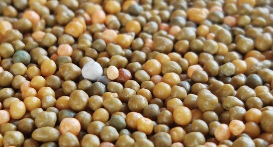 ЕвроХим представил специальное портфолио удобрений на Caspian Agro Week в Баку