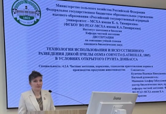 Дикая пчела рогатая осмия кратно повысила урожайность интенсивных садов Донбасса - фото