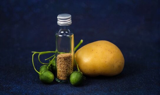 Почему настоящие ботанические семена гибридного картофеля стали сначала внедрять в Африке